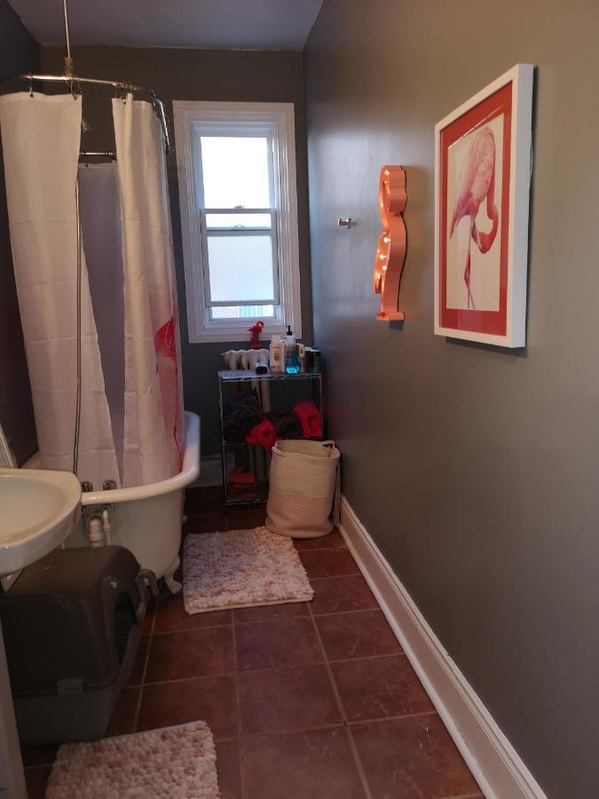 Room With King Bed In Shared 3 Bedroom Downtown Montreal Exterior photo